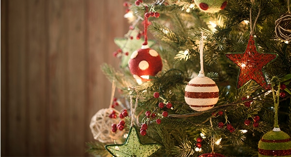 A Message from EDiS Company: Keeping Your Family Safe During the Holidays
