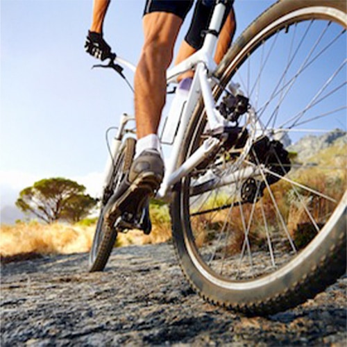 Mike likes to stay active with running, biking, and team sport activities. 