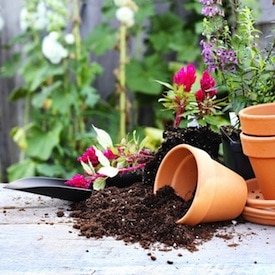 One of Martha's favorite hobbies is gardening.