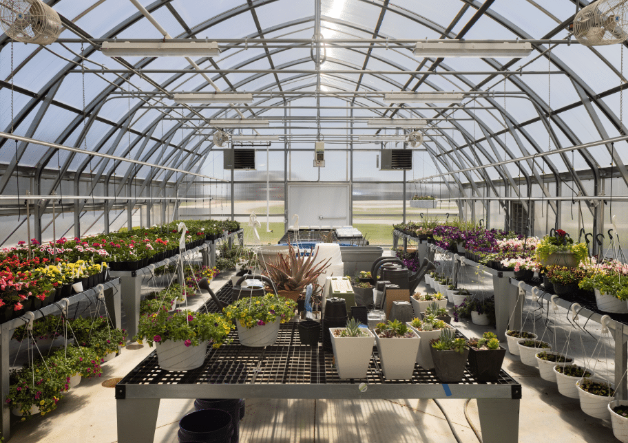 High School Greenhouse Classroom: A Specialized Space for Learning and Student Wellness